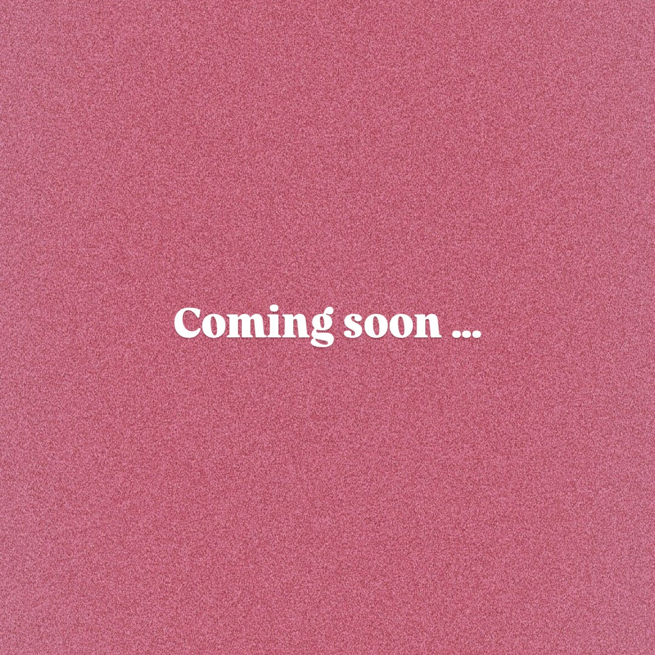 The Bookish Bundle — Blush Paper