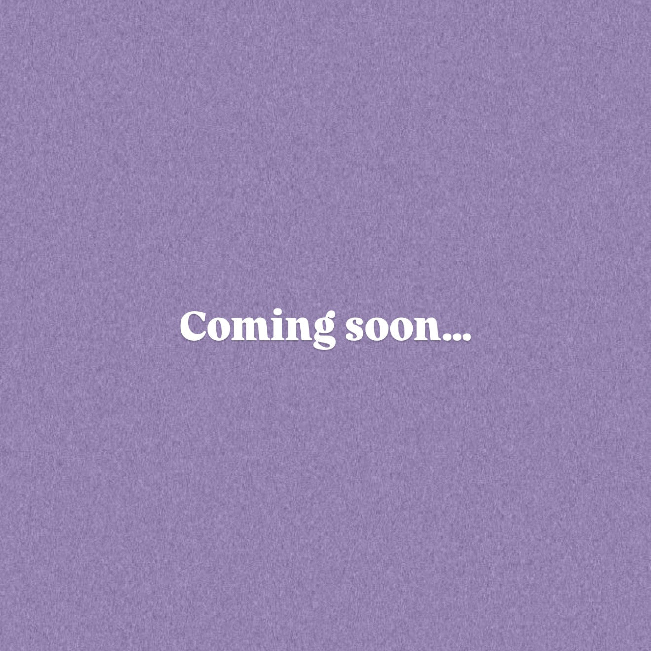 The Bookish Bundle — Violet Ink